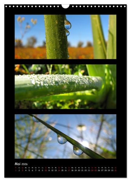 Produktbild: ZAUBERWELT DER BLUMEN - EISKRISTALLE & WASSERPERLEN (Wandkalender 2026 DIN A3 hoch), CALVENDO Monatskalender