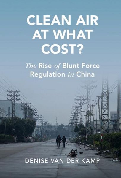 Produktbild: Clean Air at What Cost?
