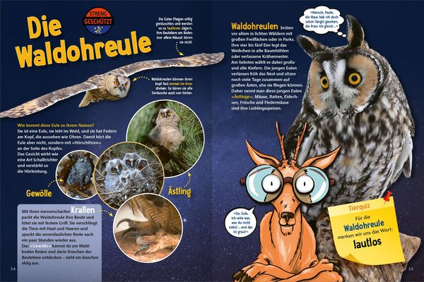 Jetzt verstehe ich die Tiere des Waldes