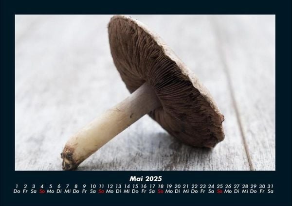Produktbild: Pilzkalender 2025 Fotokalender DIN A4