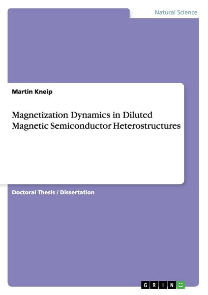 Produktbild: Magnetization Dynamics in Diluted Magnetic Semiconductor Heterostructures