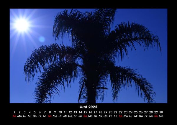 Produktbild: Palmentraum 2025 Fotokalender DIN A3