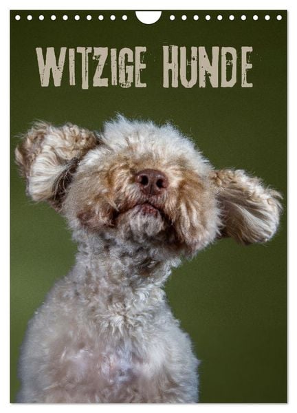 Witzige Hunde (Wandkalender 2025 DIN A4 hoch), CALVENDO Monatskalender