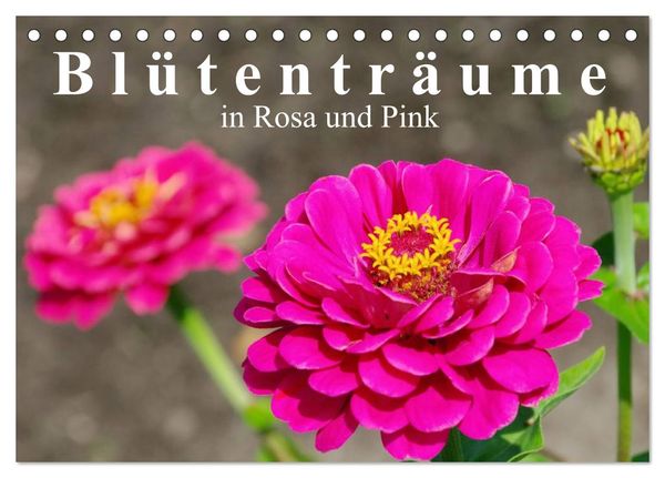 Blütenträume in Rosa und Pink (Tischkalender 2024 DIN A5 quer), CALVENDO Monatskalender