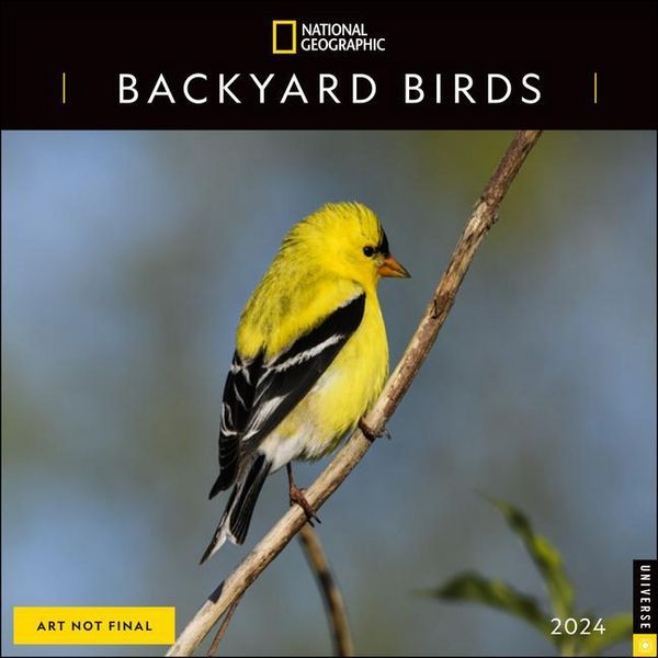 Produktbild: National Geographic: National Geographic: Backyard Birds 202