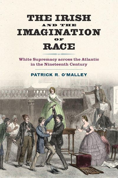 Produktbild: Irish and the Imagination of Race