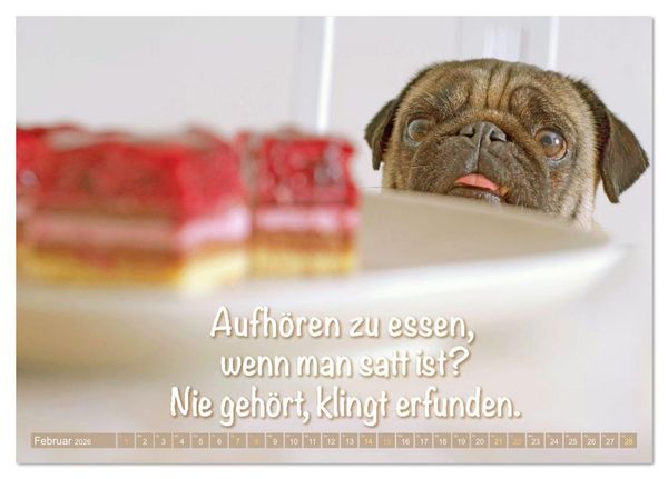 Produktbild: L&auml;cheln mit Mops (Tischkalender 2026 DIN A5 quer), CALVENDO Monatskalender