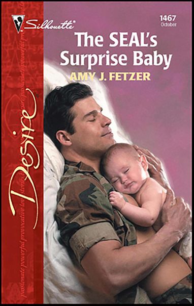 Produktbild: The SEAL's Surprise Baby
