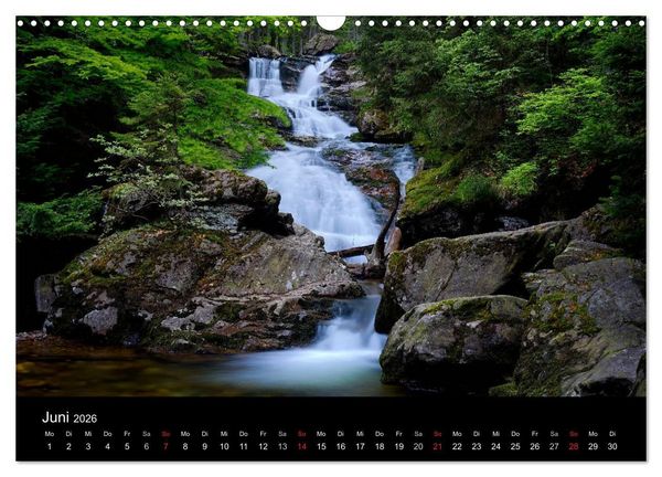 Produktbild: Mysterium Wald (Wandkalender 2026 DIN A3 quer), CALVENDO Monatskalender