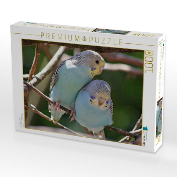 Produktbild: CALVENDO Puzzle Ich mag kuscheln.. | 1000 Teile Lege-Gr&ouml;&szlig;e 64x48cm Foto-Puzzle f&uuml;r gl&uuml;ckliche Stunden