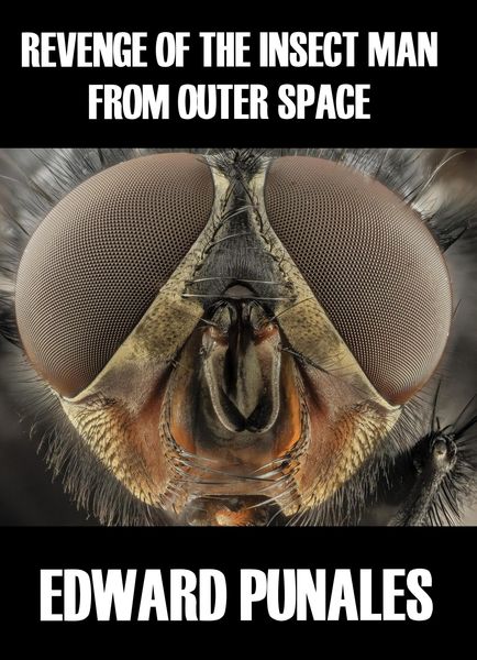 Produktbild: Revenge of the Insect Man From Outer Space: A Humorous Short Story