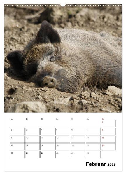 Produktbild: Der wildschweinische Terminplaner (Wandkalender 2026 DIN A2 hoch), CALVENDO Monatskalender