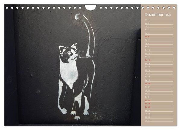 Produktbild: Flensburger Katzen (Wandkalender 2026 DIN A4 quer), CALVENDO Monatskalender