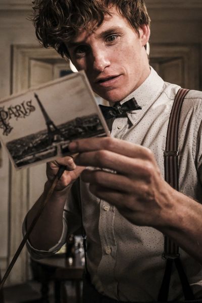Produktbild: Phantastische Tierwesen - Grindelwalds Verbrechen (Kinofassung auf 4K Ultra HD & Blu-ray + Extended Cut auf Blu-ray)
