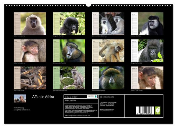 Produktbild: Affen in Afrika (hochwertiger Premium Wandkalender 2026 DIN A2 quer), Kunstdruck in Hochglanz