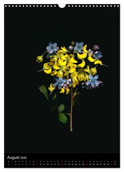 Produktbild: Blumen bei Nacht (Wandkalender 2026 DIN A3 hoch), CALVENDO Monatskalender
