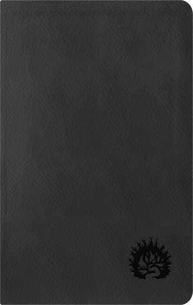 Produktbild: ESV Reformation Study Bible, Condensed Edition - Charcoal, Leather-Like