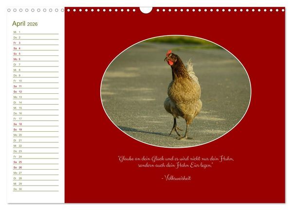 Produktbild: Freilaufende H&uuml;hner (Wandkalender 2026 DIN A3 quer), CALVENDO Monatskalender