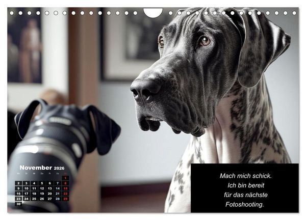 Produktbild: Der humoristische Dogge Kalender (Wandkalender 2026 DIN A4 quer), CALVENDO Monatskalender