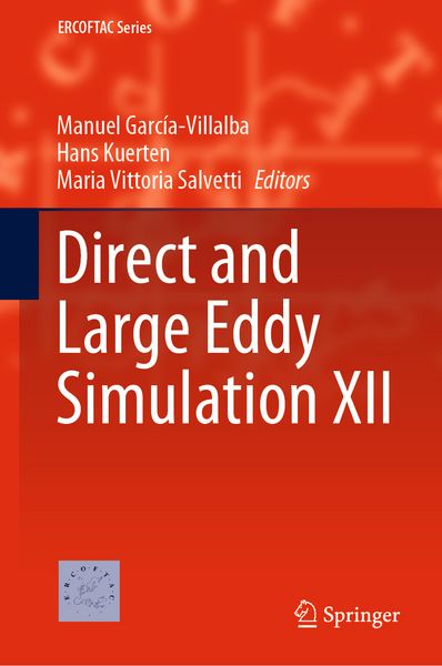 Produktbild: Direct and Large Eddy Simulation XII