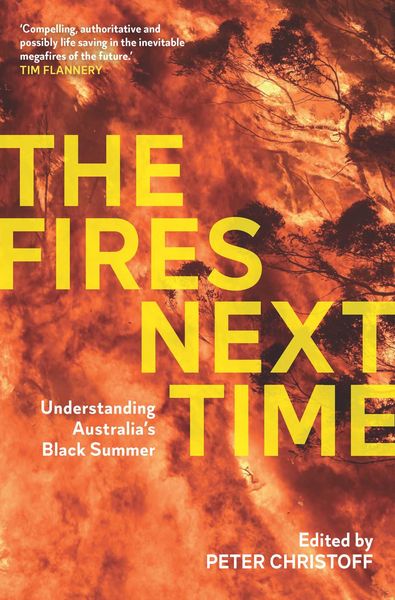 Produktbild: Fires Next Time