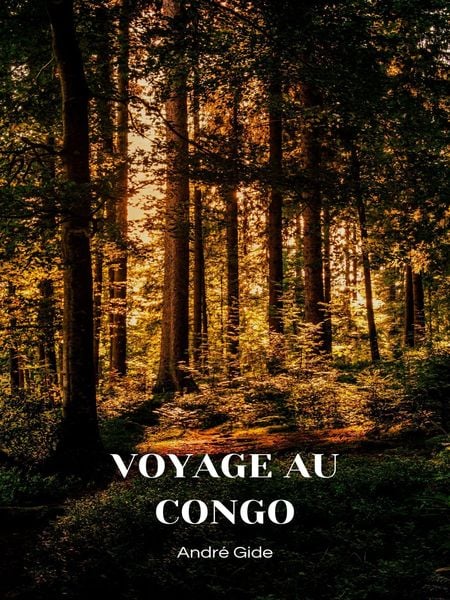 Produktbild: Voyage au Congo