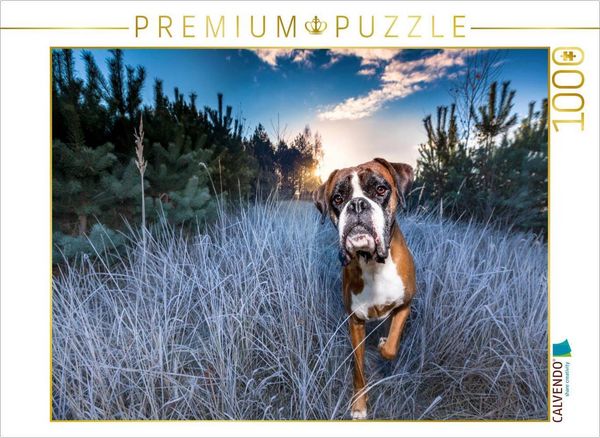 CALVENDO Puzzle Frostiger Sonnenaufgang | 1000 Teile Lege-Größe 64x48cm Foto-Puzzle für glückliche Stunden
