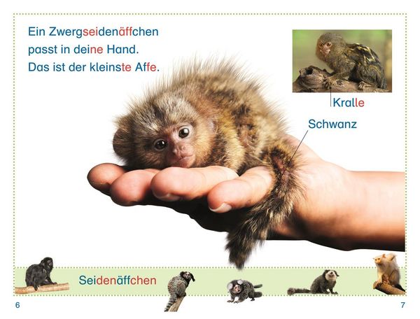 Produktbild: SUPERLESER! Zu Besuch bei den Affen