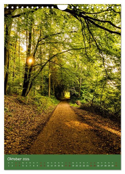 Produktbild: Ich bin dann mal im Wald (Wandkalender 2026 DIN A4 hoch), CALVENDO Monatskalender