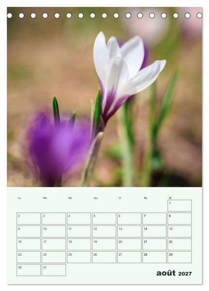 Produktbild: Les fleurs, &eacute;ternelles &eacute;phem&egrave;res (Calendrier de bureau 2027 DIN A5 horizontal), CALVENDO calendrier mensuel