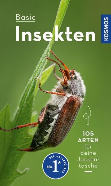 BASIC Insekten