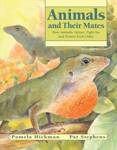 Produktbild: Animals and Their Mates