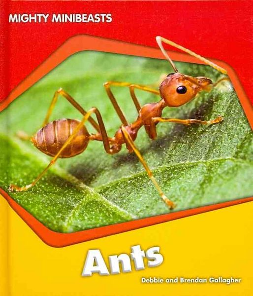 Produktbild: Ants