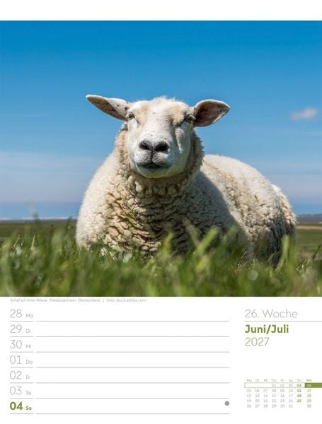 Produktbild: Am Meer Wochenplaner Kalender 2027