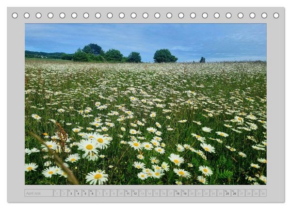 Produktbild: M&ouml;n...die Sch&ouml;nheit einer d&auml;nischen Insel (Tischkalender 2026 DIN A5 quer), CALVENDO Monatskalender