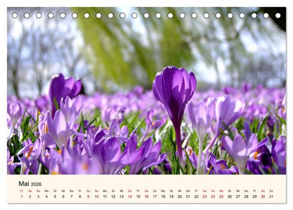 Produktbild: Die Jahreszeiten. Magie des Wandels (Tischkalender 2026 DIN A5 quer), CALVENDO Monatskalender