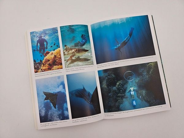 Produktbild: Segeljungs