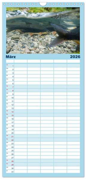 Produktbild: Familienplaner 2026 - Faszination Fische mit 5 Spalten (Wandkalender, 21 x 45 cm) CALVENDO