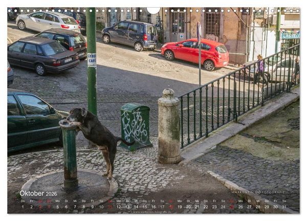 Produktbild: Zauberhaftes Lissabon (Wandkalender 2026 DIN A3 quer), CALVENDO Monatskalender