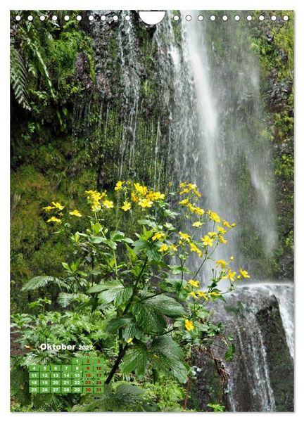 Produktbild: Madeiras Flora. Wundersame Wildblumen und exotische Geh&ouml;lze (Wandkalender 2027 DIN A4 hoch), CALVENDO Monatskalender