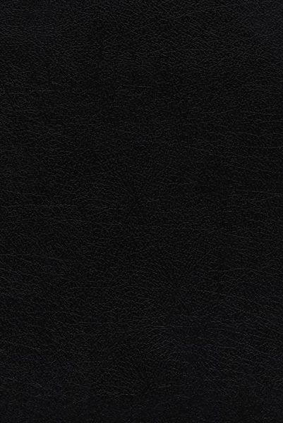 Produktbild: NKJV, Faithlife Illustrated Study Bible, Premium Bonded Leat