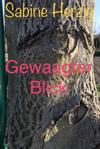 Produktbild: Gewaagter Blick