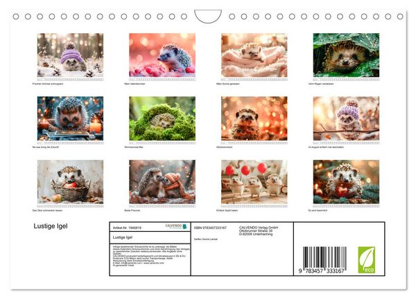 Produktbild: Lustige Igel (Wandkalender 2026 DIN A4 quer), CALVENDO Monatskalender