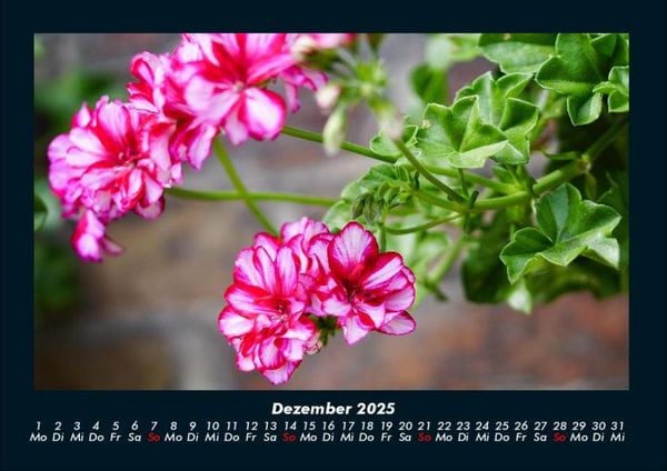 Produktbild: Blumenkalender 2025 Fotokalender DIN A4