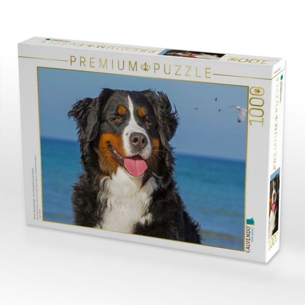Produktbild: CALVENDO Puzzle Berner Sennenh&uuml;ndin - Eine Sch&ouml;nheit auf vier Pfoten | 1000 Teile Lege-Gr&ouml;&szlig;e 64x48cm Foto-Puzzle f&uuml;r gl&uuml;ckliche Stunden