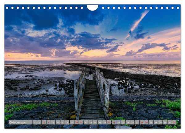 Produktbild: Vlieland Perle an der Nordsee (Wandkalender 2026 DIN A4 quer), CALVENDO Monatskalender