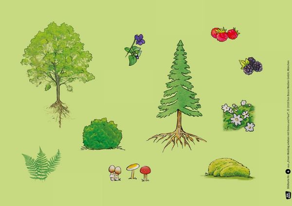 Produktbild: Einen Waldtag erleben mit Emma und Paul. Kamishibai Bildkartenset.