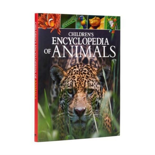 Produktbild: Lland, M: Children's Encyclopedia of Animals