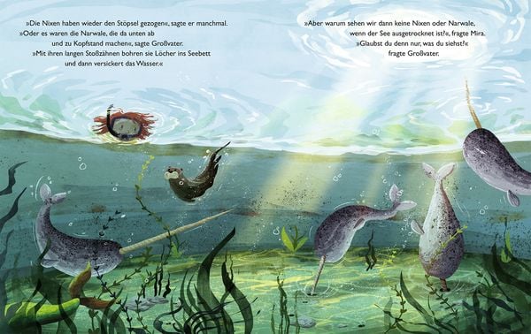 Produktbild: Der verschwindende See