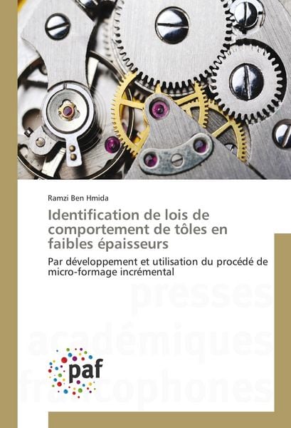 Produktbild: Identification de lois de comportement de t&ocirc;les en faibles &eacute;paisseurs